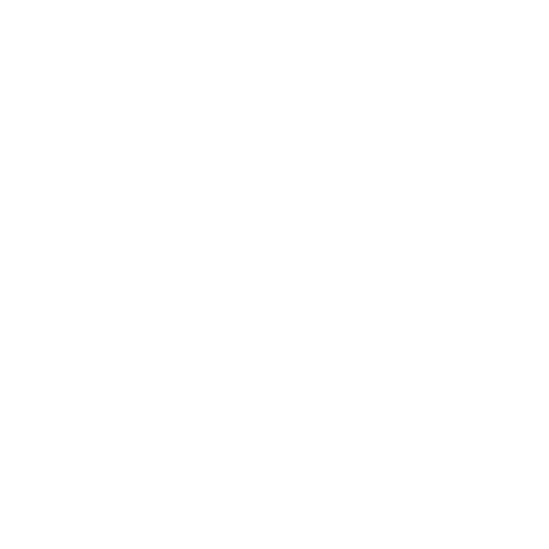 Hans Bar Logo